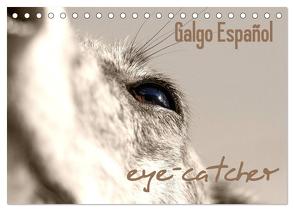 Galgo eye-catcher (Tischkalender 2024 DIN A5 quer), CALVENDO Monatskalender von - Andrea Redecker,  4pfoten-design