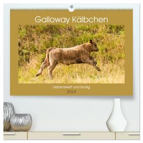 Galloway Kälbchen – Liebenswert und lockig (hochwertiger Premium Wandkalender 2024 DIN A2 quer), Kunstdruck in Hochglanz von Bölts,  Meike