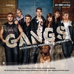 Gangs (Filmhörspiel) von Eck,  Sebastian, Klehmet,  Peer, Ochsenknecht,  Jimi Blue, Schüle,  Emilia, Wehlings,  Sebastian