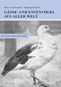 Gänse- und Entenvögel aus aller Welt von Boetticher,  Hans von