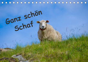 Ganz schön Schaf (Tischkalender 2023 DIN A5 quer) von Eimler,  Kathrin