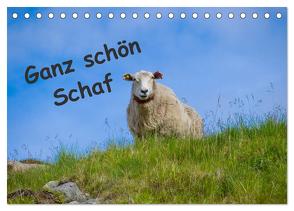 Ganz schön Schaf (Tischkalender 2024 DIN A5 quer), CALVENDO Monatskalender von Eimler,  Kathrin