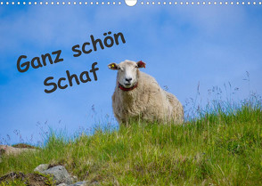 Ganz schön Schaf (Wandkalender 2023 DIN A3 quer) von Eimler,  Kathrin