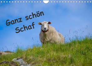 Ganz schön Schaf (Wandkalender 2023 DIN A4 quer) von Eimler,  Kathrin