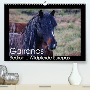 Garranos – Bedrohte Wildpferde Europas (Premium, hochwertiger DIN A2 Wandkalender 2023, Kunstdruck in Hochglanz) von Bengtsson/www.perlenfaenger.com,  Sabine
