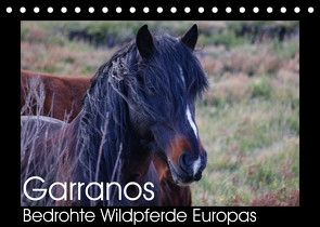 Garranos – Bedrohte Wildpferde Europas (Tischkalender 2022 DIN A5 quer) von Bengtsson/www.perlenfaenger.com,  Sabine