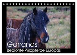 Garranos – Bedrohte Wildpferde Europas (Tischkalender 2024 DIN A5 quer), CALVENDO Monatskalender von Bengtsson/www.perlenfaenger.com,  Sabine