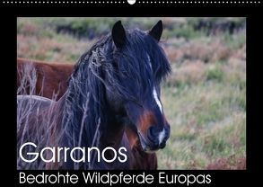 Garranos – Bedrohte Wildpferde Europas (Wandkalender 2018 DIN A2 quer) von Bengtsson/www.perlenfaenger.com,  Sabine