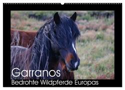 Garranos – Bedrohte Wildpferde Europas (Wandkalender 2024 DIN A2 quer), CALVENDO Monatskalender von Bengtsson/www.perlenfaenger.com,  Sabine