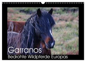 Garranos – Bedrohte Wildpferde Europas (Wandkalender 2024 DIN A3 quer), CALVENDO Monatskalender von Bengtsson/www.perlenfaenger.com,  Sabine