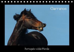 Garranos (Tischkalender 2018 DIN A5 quer) von Lampert,  Claudia