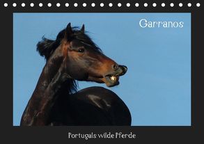 Garranos (Tischkalender 2019 DIN A5 quer) von Lampert,  Claudia