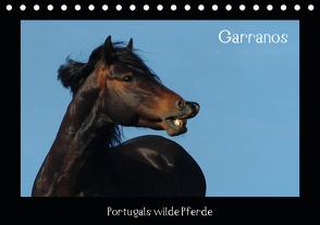 Garranos (Tischkalender 2021 DIN A5 quer) von Lampert,  Claudia
