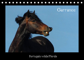 Garranos (Tischkalender 2022 DIN A5 quer) von Lampert,  Claudia
