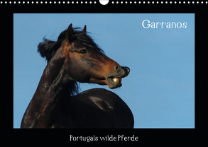Garranos (Wandkalender 2020 DIN A3 quer) von Lampert,  Claudia