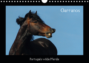 Garranos (Wandkalender 2021 DIN A4 quer) von Lampert,  Claudia