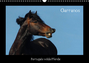 Garranos (Wandkalender 2022 DIN A3 quer) von Lampert,  Claudia