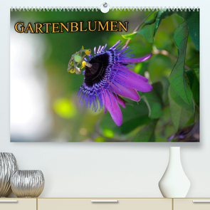 Gartenblumen (Premium, hochwertiger DIN A2 Wandkalender 2022, Kunstdruck in Hochglanz) von Geduldig,  Bildagentur