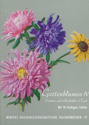 Gartenblumen / Sommerflor II von Klein,  Ludwig, Rauh,  Werner