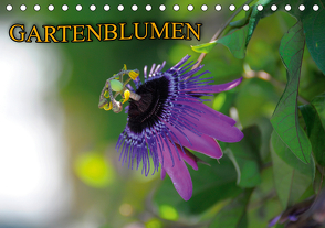 Gartenblumen (Tischkalender 2021 DIN A5 quer) von Geduldig,  Bildagentur
