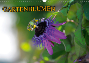 Gartenblumen (Wandkalender 2020 DIN A3 quer) von Geduldig,  Bildagentur