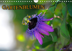 Gartenblumen (Wandkalender 2022 DIN A4 quer) von Geduldig,  Bildagentur