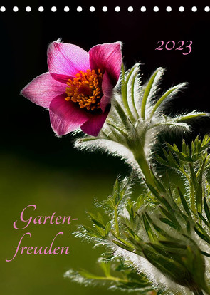 Gartenfreuden (Tischkalender 2023 DIN A5 hoch) von Enkemeier,  Sigrid