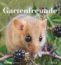 Gartenfreunde 2024 – Postkartenkalender 16×17 cm – Tiere – zum Aufstellen oder Aufhängen – Monatskalendarium – Gadget – Mitbringsel – Alpha Edition