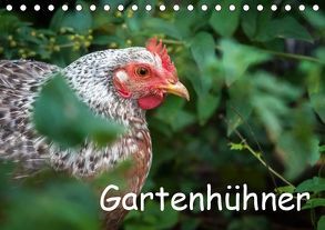 Gartenhühner (Tischkalender 2019 DIN A5 quer) von Ohm,  Britta