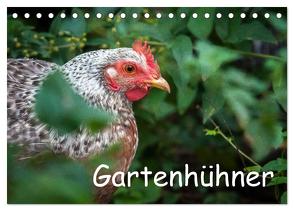 Gartenhühner (Tischkalender 2024 DIN A5 quer), CALVENDO Monatskalender von Ohm,  Britta