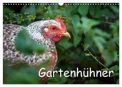 Gartenhühner (Wandkalender 2024 DIN A3 quer), CALVENDO Monatskalender von Ohm,  Britta