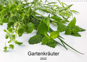 Gartenkräuter (Wandkalender 2022 DIN A3 quer) von Eiben,  Andrea
