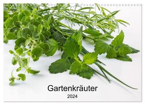 Gartenkräuter (Wandkalender 2024 DIN A3 quer), CALVENDO Monatskalender von Eiben,  Andrea
