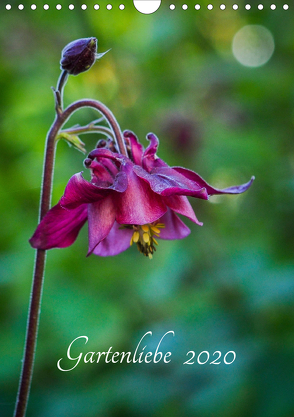 Gartenliebe (Wandkalender 2020 DIN A4 hoch) von Gartenchaosliebe