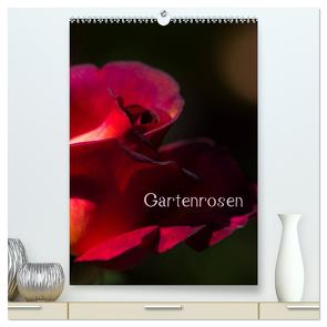 Gartenrosen (hochwertiger Premium Wandkalender 2024 DIN A2 hoch), Kunstdruck in Hochglanz von Renken,  Erwin