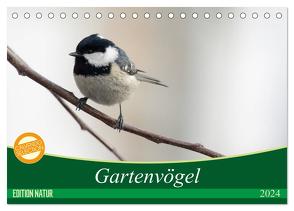 Gartenvögel (Tischkalender 2024 DIN A5 quer), CALVENDO Monatskalender von - Romy Schötz,  Samashy