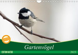 Gartenvögel (Wandkalender 2023 DIN A4 quer) von - Romy Schötz,  Samashy
