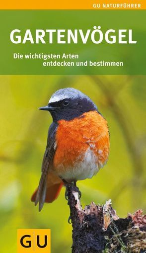 Gartenvögel von Hofmann,  Helga