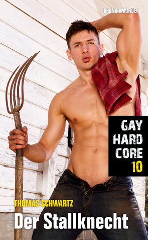 Gay Hardcore 10: Der Stallknecht von Schwartz,  Thomas