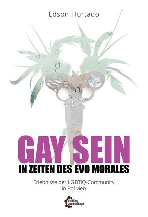Gay sein in Zeiten des Evo Morales von Danielsen,  Swintha, Hurtado,  Edson, Yücel,  Elif