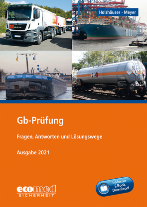 Gb-Prüfung inklusive E-Book von Holzhäuser,  Jörg, Meyer,  Irena
