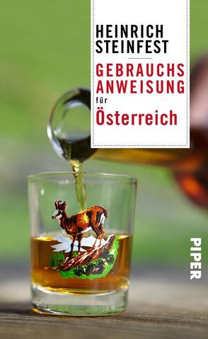 Gebrauchsanweisung für Österreich von Steinfest,  Heinrich