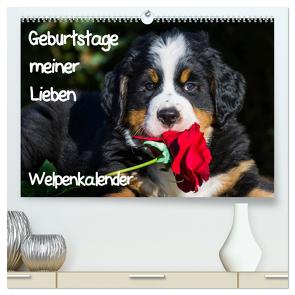 Geburtstage meiner Lieben – Welpenkalender (hochwertiger Premium Wandkalender 2024 DIN A2 quer), Kunstdruck in Hochglanz von Starick,  Sigrid