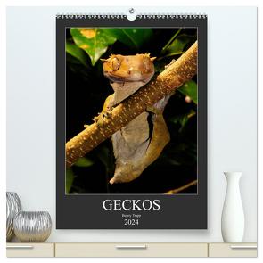 GECKOS (hochwertiger Premium Wandkalender 2024 DIN A2 hoch), Kunstdruck in Hochglanz von Trapp,  Benny