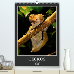 GECKOS (Premium, hochwertiger DIN A2 Wandkalender 2021, Kunstdruck in Hochglanz) von Trapp,  Benny