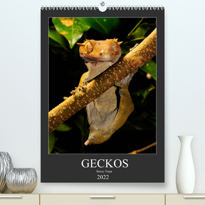 GECKOS (Premium, hochwertiger DIN A2 Wandkalender 2022, Kunstdruck in Hochglanz) von Trapp,  Benny