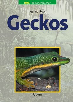 Geckos von Falk,  Astrid