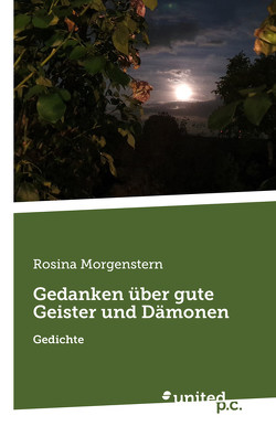 Gedanken über gute Geister und Dämonen von Morgenstern,  Rosina