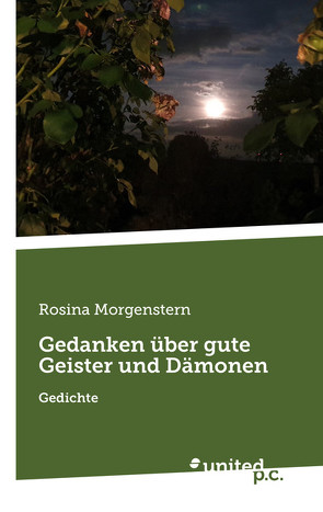 Gedanken über gute Geister und Dämonen von Morgenstern,  Rosina