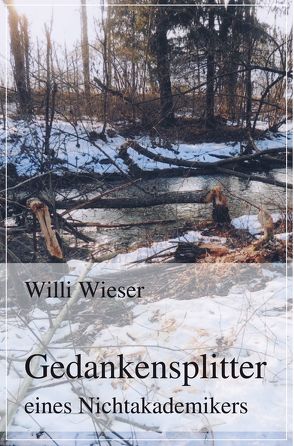 Gedankensplitter eines Nichtakademikers von Wieser,  Willi